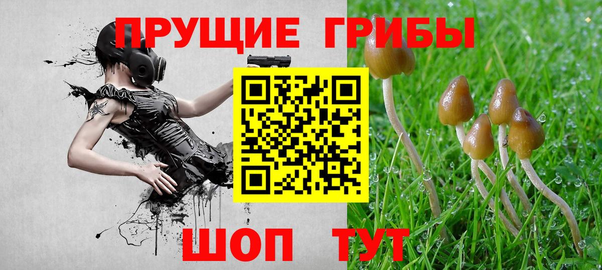 Воркута  Псилоцибиновые грибы мухоморы  Вход с VPN  Псилоцибиновые грибы Magic Shrooms 
